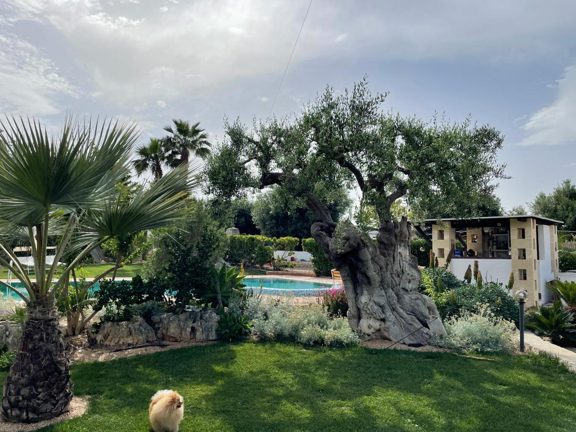 Alla Villa Di Angelo โมโนโปลี ภายนอก รูปภาพ
