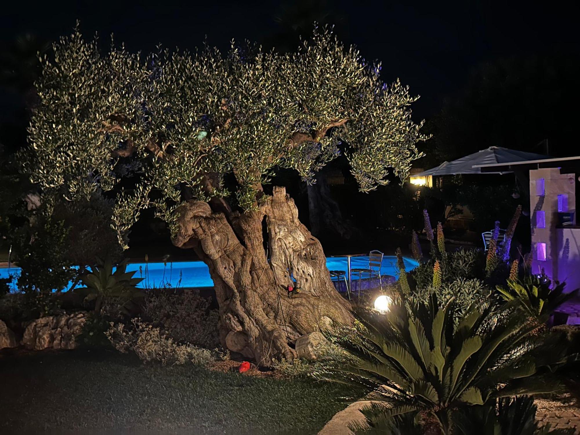 Alla Villa Di Angelo โมโนโปลี ห้อง รูปภาพ